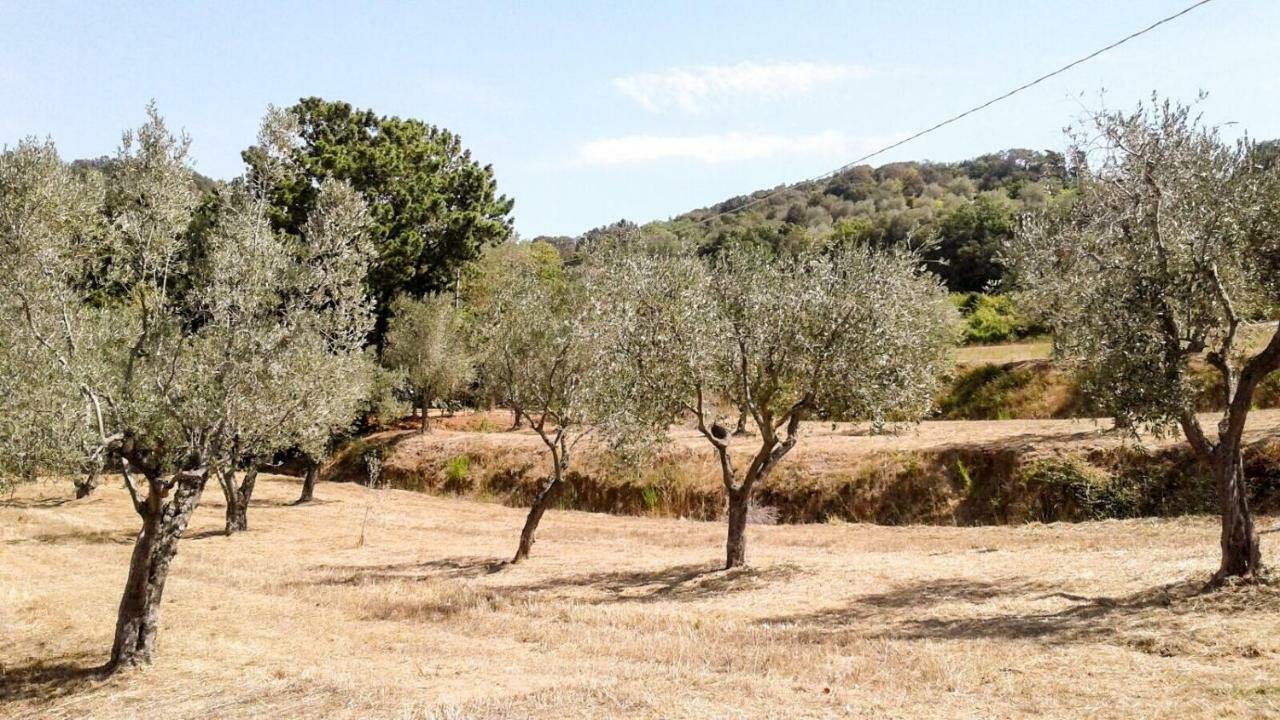 Podere Barlo Apartment Campiglia Marittima Luaran gambar