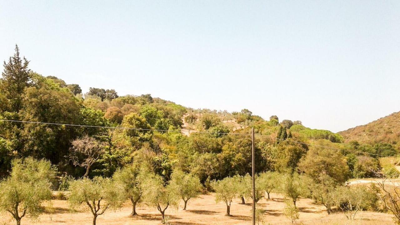 Podere Barlo Apartment Campiglia Marittima Luaran gambar