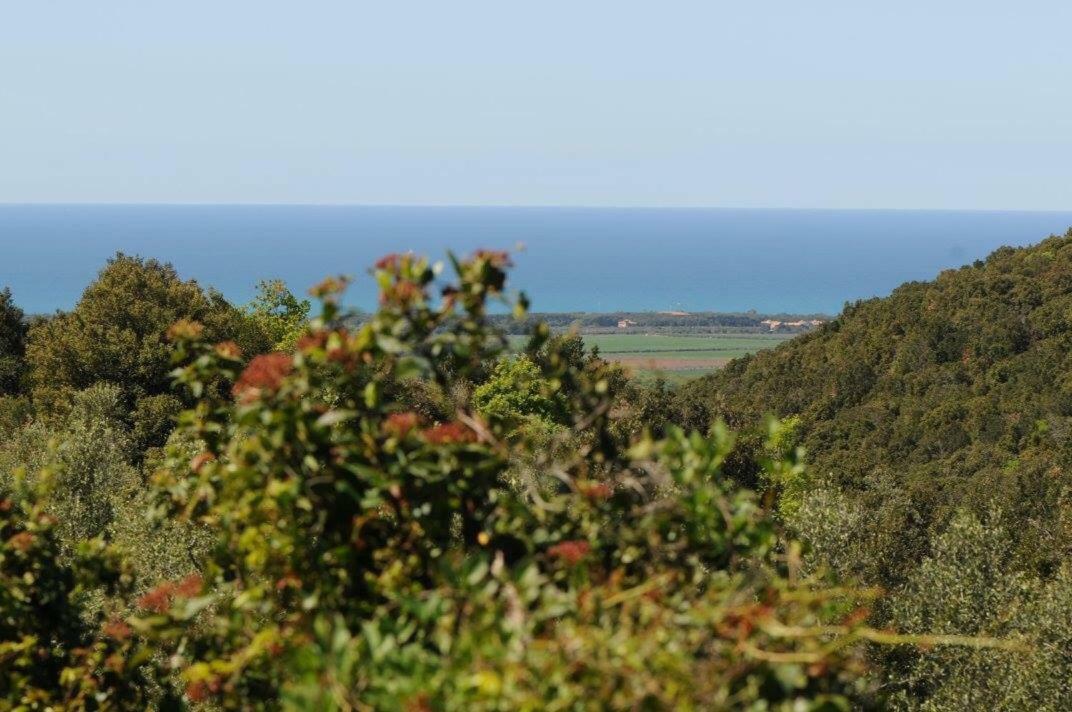 Podere Barlo Apartment Campiglia Marittima Luaran gambar